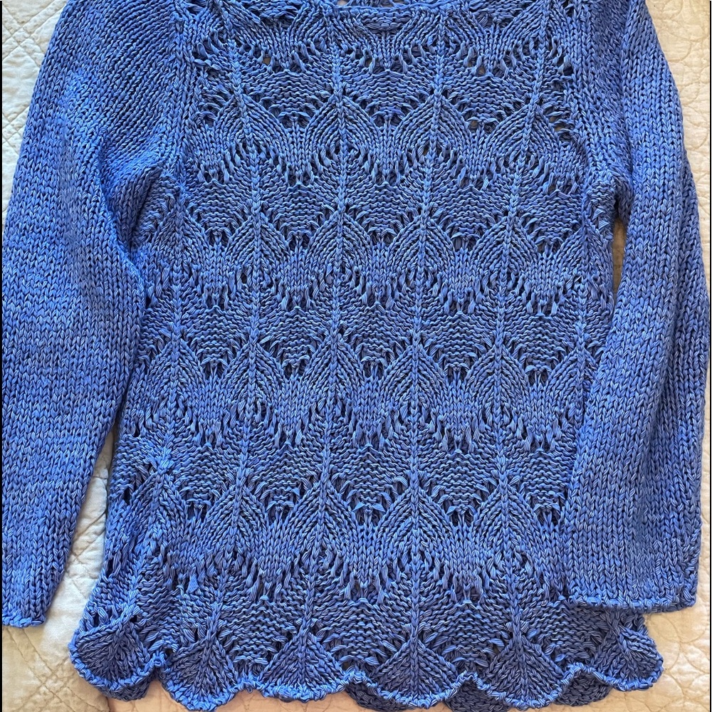 Blue Chicos sweater